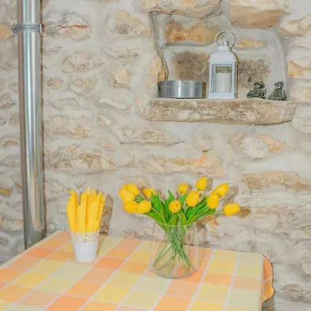 Apartmán Eleonora Zadar